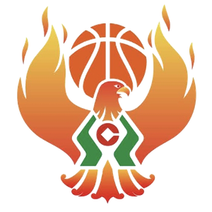 https://img.guangyida.net/img/basketball/team/09b49d34027e0409a4de3295f8c71a2d.png