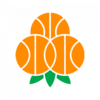 https://img.guangyida.net/img/basketball/team/3153fc48ea49f604e1acb2ead8afae9d.png