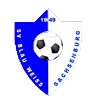 https://img.guangyida.net/img/football/team/1cde488d47b598d2eed91775e6786258.png